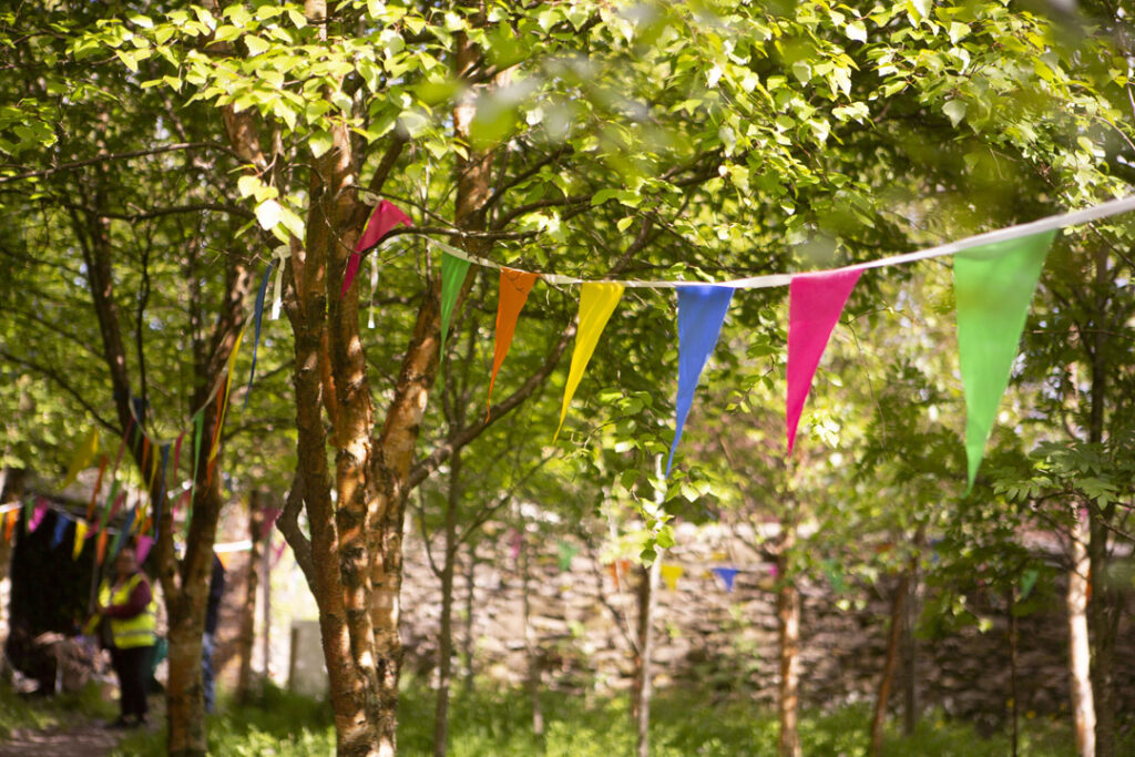 Bunting in the garden