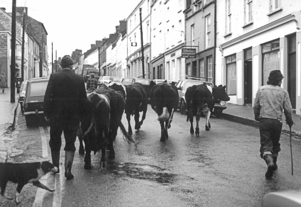 Martin Rosswog Return to Dingle